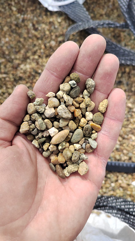 Kamenclub.ru: Галька окат (серо-желтая) фр.5-10 мм. купить  в Смоленске галька речная рыжий, желтый, рыжий, серо-желтый речная окатанная галька декоративная 5000 руб/т   фото КАМЕНЬ КЛУБ